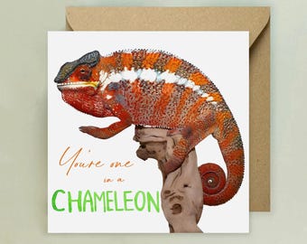 Chameleon One In A Chameleon Card
