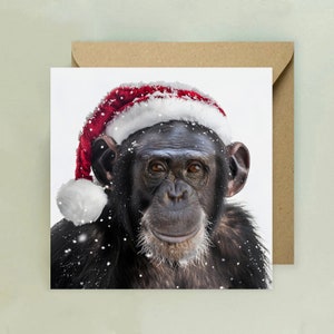 Schimpanse Weihnachtskarte