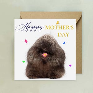 Süße Stachelschwein Muttertagskarte, Mothering Sonntagskarte