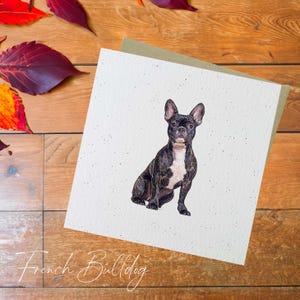 Französische Bulldogge Karte