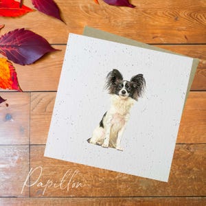 Tarjeta de perro Papillon