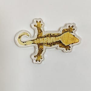 Illustrierender Gecko-Acryl-Kühlschrank-Magnet