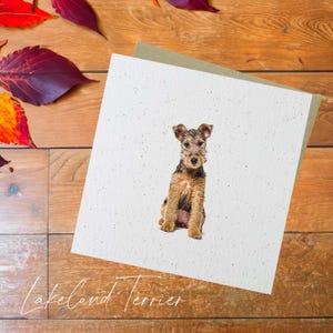 Lakeland Terrier Karte