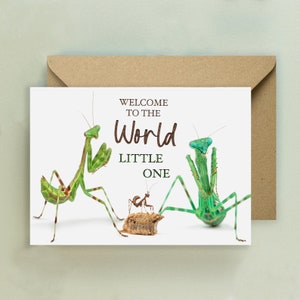 Bidsprinkhaan grappige nieuwe babykaart, Welcome To The World-kaart