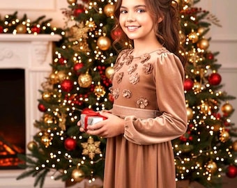 The Perfect Christmas Outfit for a Dressy Family Christmas Eve, Children's Velvet Dress, Floral Applique Velvet Dress