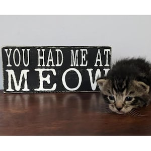 You Had Me at Meow wood sign - great for cat lovers, purrfect gift, sits on shelf, desk and more!