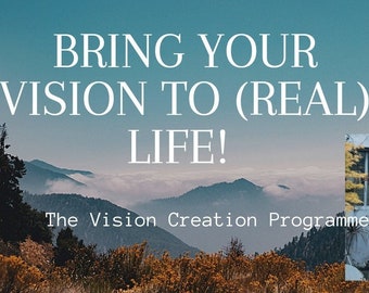 Bring your Vision to (Real) Life; the Vision Creation Programme