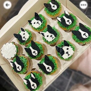 K&ouml;nnte beinhalten: Eine Schachtel Cupcakes, die mit schwarzen und wei&szlig;en Hundefiguren, gr&uuml;nem Frosting und einem einzelnen Cupcake mit der Aufschrift "Happy Birthday" verziert sind.