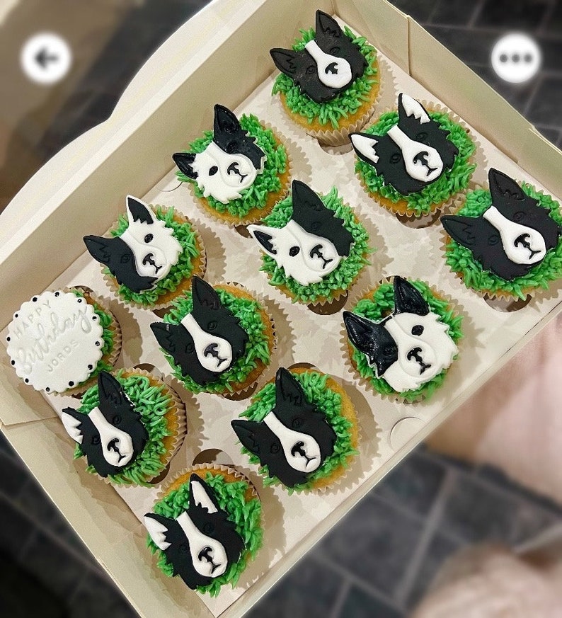 K&ouml;nnte beinhalten: Eine Schachtel Cupcakes, die mit schwarzen und wei&szlig;en Hundefiguren, gr&uuml;nem Frosting und einem einzelnen Cupcake mit der Aufschrift "Happy Birthday" verziert sind.