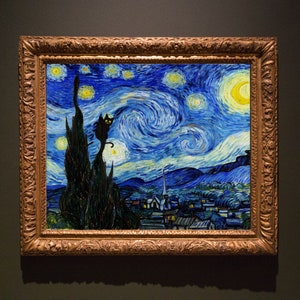May include: A black cat sits on a tree branch in front of a painting of a starry night sky. The painting is in a gold frame.