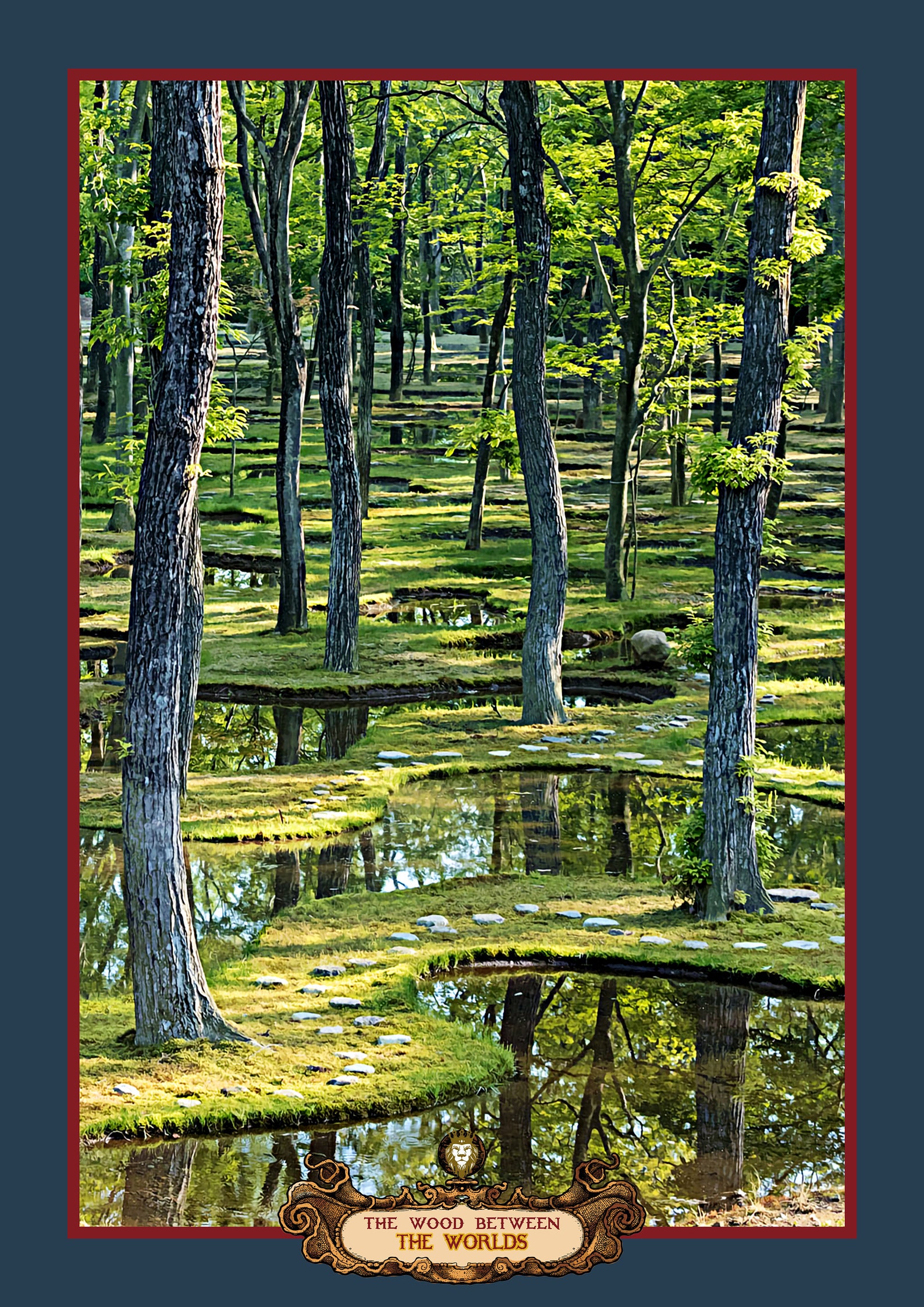 The Wood Between the Worlds. C S Lewis Chronicles of