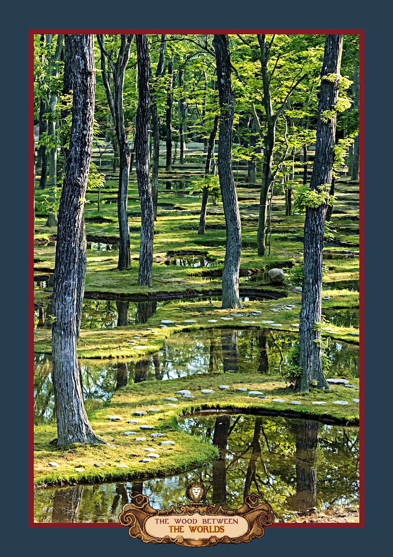Pode incluir: Uma cena de floresta serena com um caminho sinuoso de pedras para caminhar atrav&eacute;s de um lago de &aacute;gua. As &aacute;rvores se refletem na &aacute;gua, criando um efeito espelhado. O texto "The Wood Between The Worlds" &eacute; exibido na parte inferior da imagem.