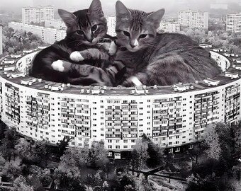 Brutalist Architecture Black Cat Art Print: Cuddling Kitties
