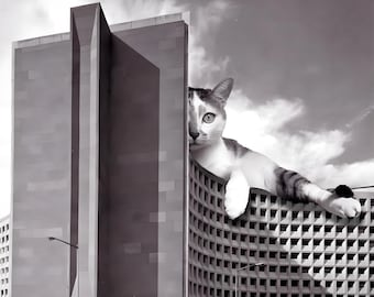Brutalist Architecture Cat Art Print: Black & White Concrete Design