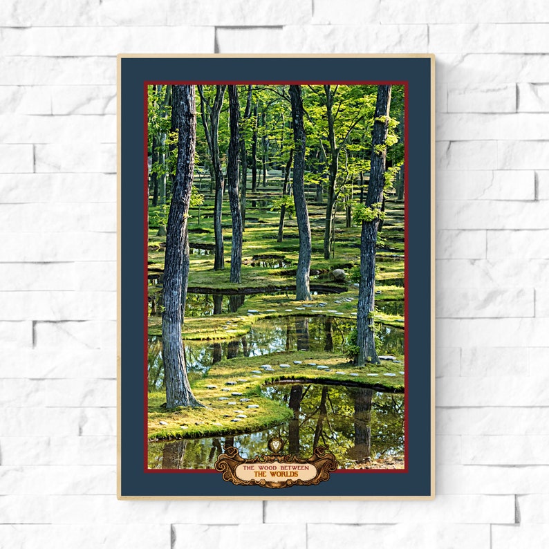 Pode incluir: Um p&ocirc;ster emoldurado com uma fotografia de uma floresta com &aacute;rvores refletidas em um charco de &aacute;gua. O texto "The Wood Between The Worlds" est&aacute; impresso na parte inferior do p&ocirc;ster.