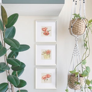 Botanical Print Set, Set of 3 Squared Watercolour Prints, Floral Wall Art, Fine Art Giclée Print, Watercolour Painting