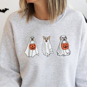 Peut inclure: Un sweat-shirt gris avec un motif de trois chiens habill&eacute;s en fant&ocirc;mes tenant des citrouilles. Le texte "ASH" est visible dans le coin inf&eacute;rieur droit de l'image.
