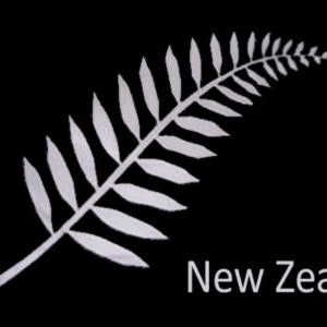 May include: A black flag with a white fern frond emblem and the words "New Zealand" in white. The flag has a white vertical stripe on the left edge with two eyelets.