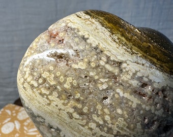 May include: A heart-shaped stone with a unique pattern of beige, brown, and white colors. The stone has a polished surface and a natural, organic appearance. The heart shape is clearly defined, making it a decorative item.