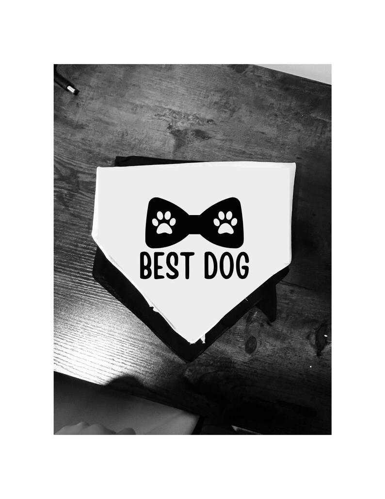 thumbnail image 2 of PWHAOO 1 Piece Resue Dog Please Be Patient I'm Trying My Best Dog 2 of 10
