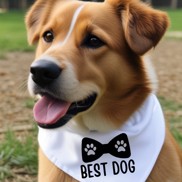 Best Dog- bandana SVG, PNG files. Wedding Day Dog Attire