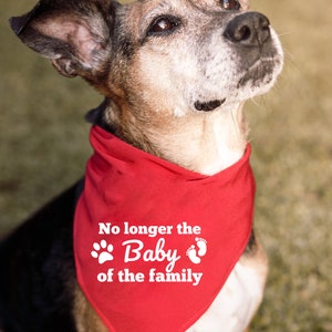 Niet langer de baby van de familie SVG-, png-bestanden. Bandana's voor babyaankondiging hond of kat, aankondiging zwangerschap, baby op komst, aankondiging huisdier