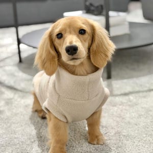 Dachshund Daxie Doxie Tankie Fleece Various Colours Sausage Dog