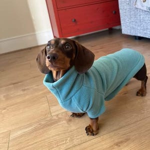 Dachshund Long sleeve fleece jumper