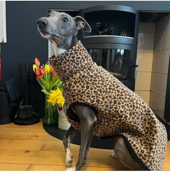 Etsy top greyhound coats