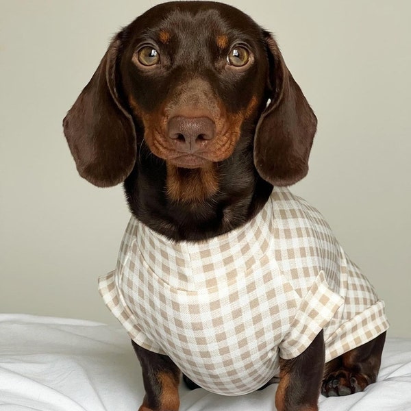 Miniature Dachshund Clothes - Etsy