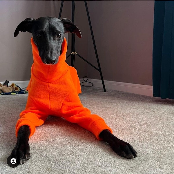 Neon Fleece Long Sleeve Sweater Whippet Greyhound Iggy Lurcher