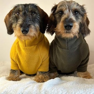 Dachshund Long sleeve fleece jumper image 1