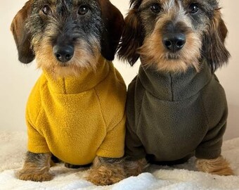 Dachshund Long sleeve fleece jumper