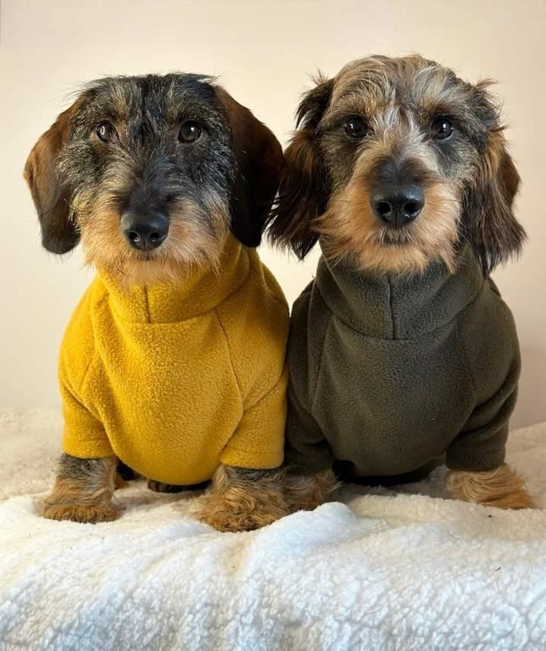 Dachshund Long sleeve fleece jumper image 1