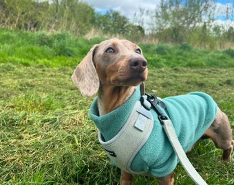 Dachshund Daxie Doxie Tankie Fleece Various Colours Sausage Dog