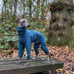 May include: An Italian Greyhound in a teal blue jumpsuit with a high collar, posing on a wooden bench in a woodland scene. The dog's gray coat contrasts with the blue of the jumpsuit, which covers its body and legs.
