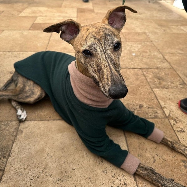 Cuffies Dog Jumper Whippet Lurcher Greyhound CHOOSE COMBINATION