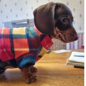 Tartan Bright Dachshund Tankie Fleece Various Colours Sausage Dog Small Dog