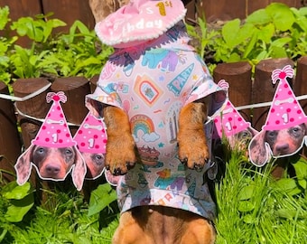 Birthday Girl/Boy Dachshund/Small Breed Jersey Tankie