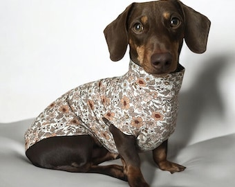 Puede incluir: Un dachshund marrón y tostado con una camisa de perro de estampado floral blanco y marrón. El perro está sentado sobre una superficie blanca.