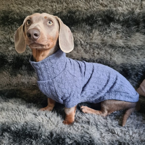 Dachshund Cable Knit Jersey Various Colours Sausage Dog Miniature Dachshund Jumper