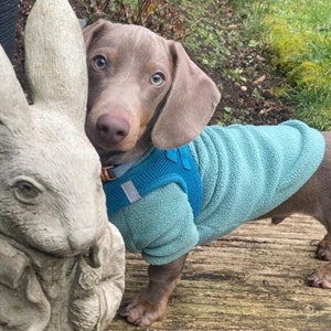 Dachshund Long sleeve fleece jumper image 2