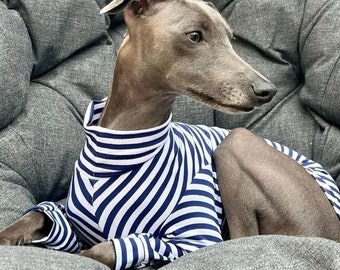 Lightweight Nautical Blue & White stripey Jersey sighthound whippet greyhound Italian greyhound lurcher dog wear