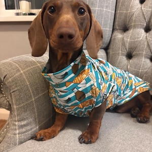 May include: A brown dachshund dog wearing a blue and white striped shirt with a food-themed pattern. The shirt features images of fish, fries, and other food items. The dog is sitting on a gray upholstered chair.