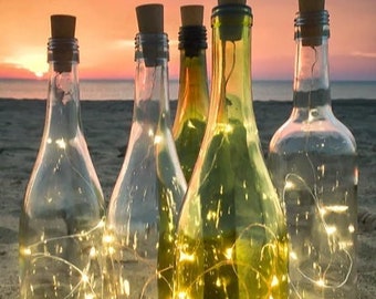 LED Wine Bottle Lights