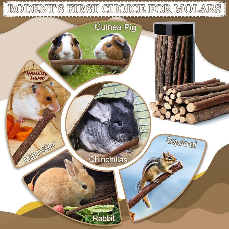 Healthy, Safe & Organic Wood Sticks and Chew Toys for Rabbits, Hamsters, Chinchillas, and Guinea