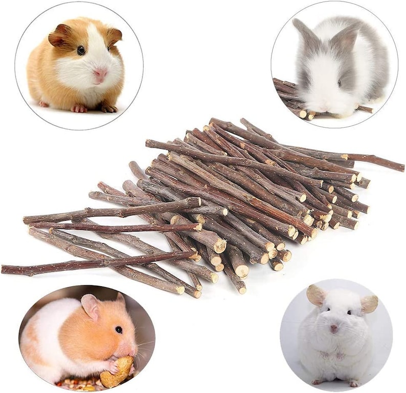 Healthy, Safe & Organic Wood Sticks and Chew Toys for Rabbits, Hamsters, Chinchillas, and Guinea