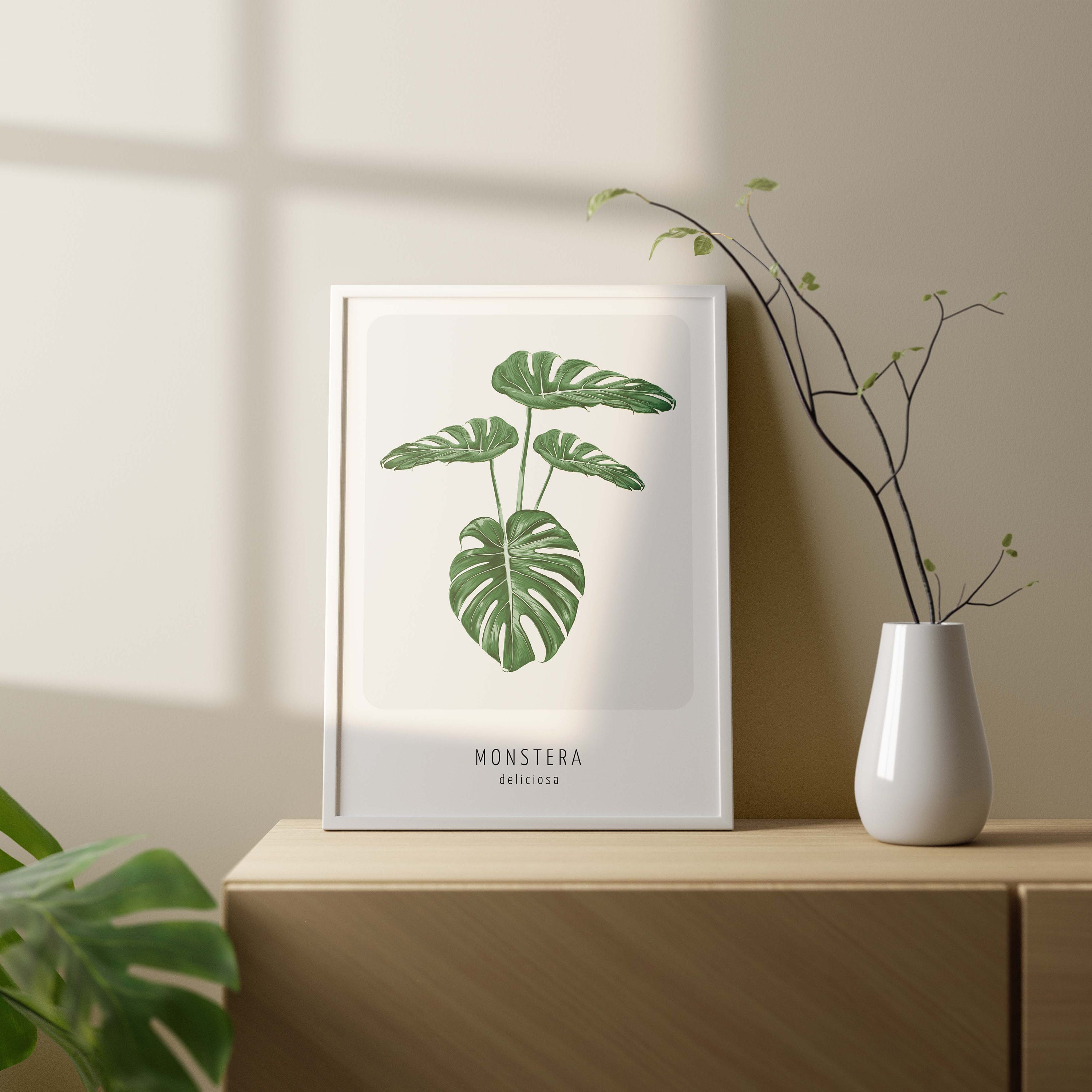 Monstera poster