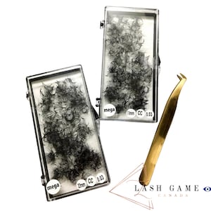 Pro Made Mega Lashes  1000 In Box 20D D CURL