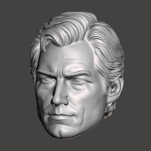May include: A 3D-rendered bust of a man's head, sculpted in a neutral gray tone. The detailed model features realistic facial features, including furrowed brows and wavy hair, suggesting a serious or contemplative expression. The lighting highlights the contours.